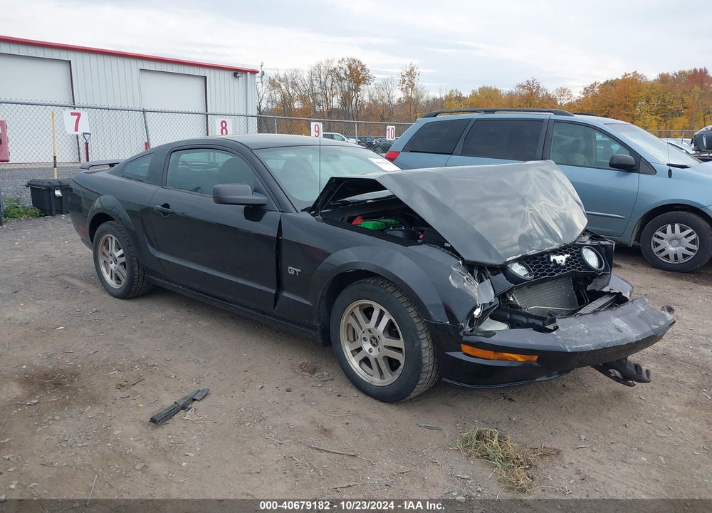 2006 FORD MUSTANG GT VIN: 1ZVFT82H665129789