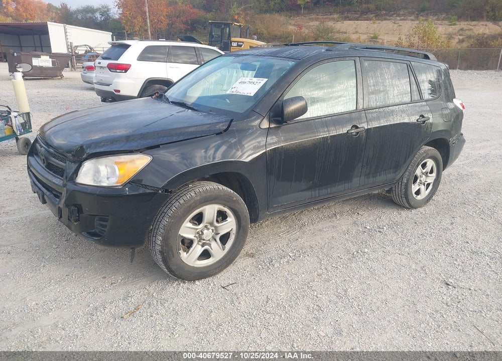 2010 TOYOTA RAV4 VIN: 2T3BF4DV6AW071916