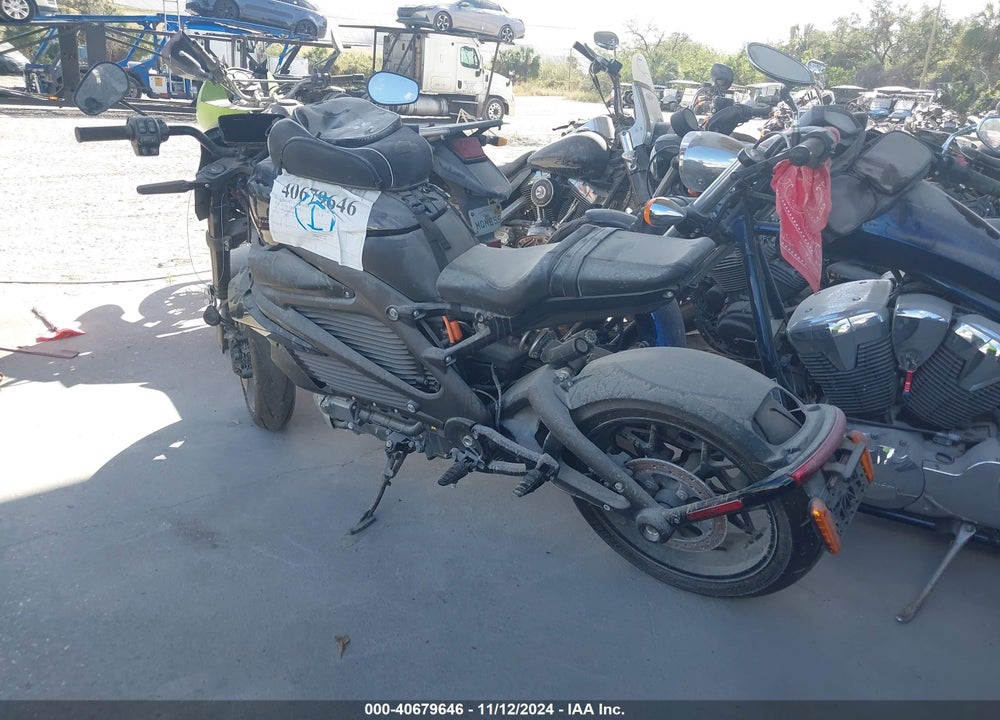 2020 HARLEY-DAVIDSON ELW VIN: 1HD2XAEB7LB801830