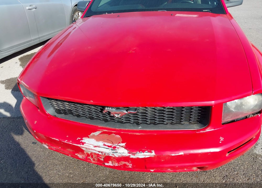 2006 FORD MUSTANG V6 VIN: 1ZVFT84N865244350
