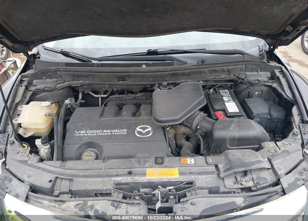 2010 MAZDA CX-9 TOURING VIN: JM3TB3MV0A0205664