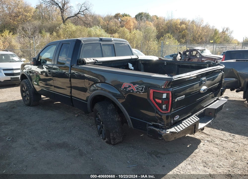 2014 FORD F-150 VIN: 1FTFX1ETXEFC06204