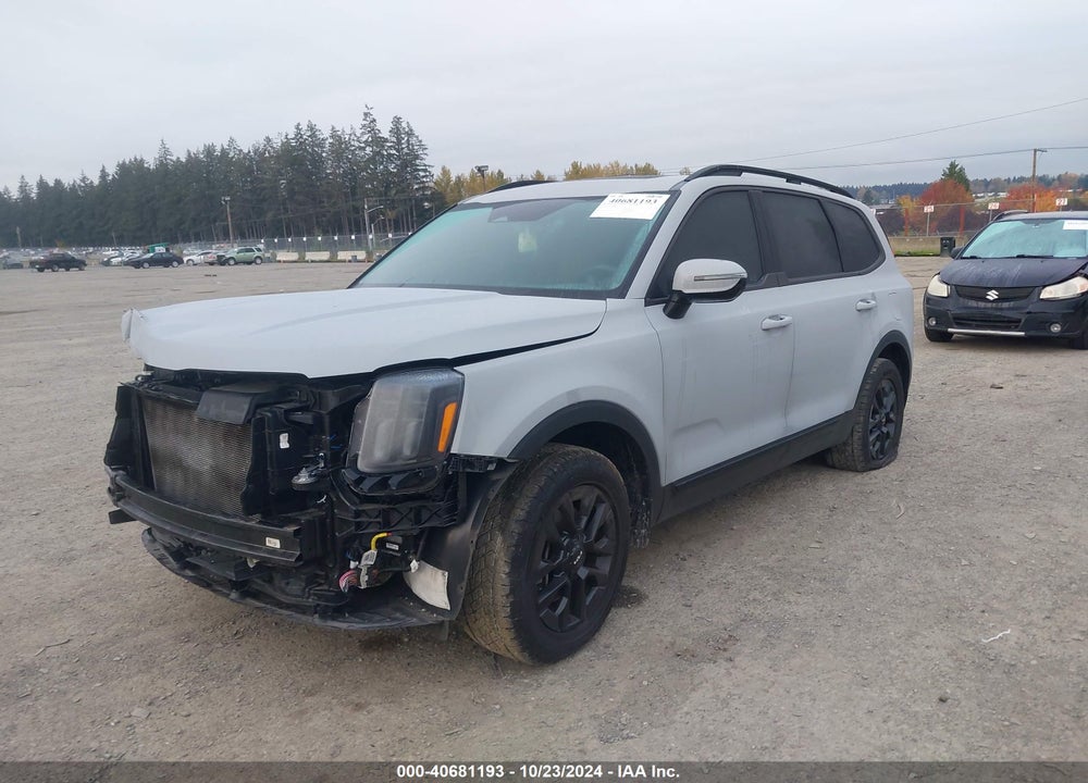 2024 KIA TELLURIDE SX X-PRO VIN: 5XYP5DGC1RG442073
