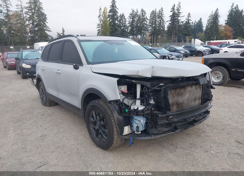 2024 KIA TELLURIDE SX X-PRO VIN: 5XYP5DGC1RG442073