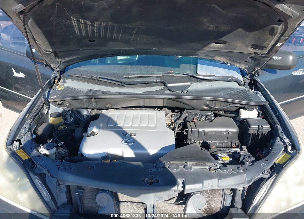 2007 LEXUS RX 350 VIN: 2T2HK31U17C037893