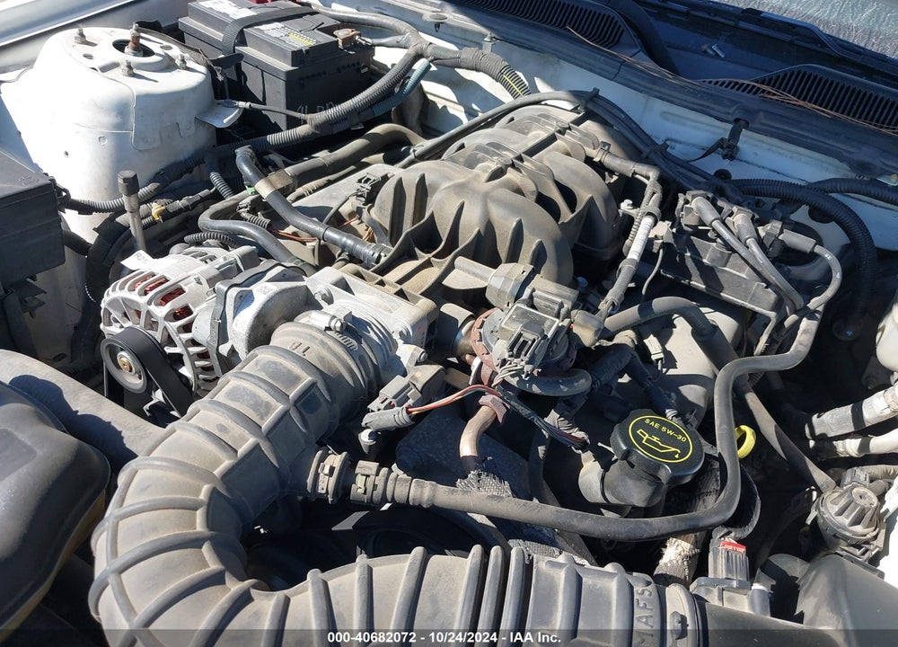 2008 FORD MUSTANG V6 DELUXE/V6 PREMIUM VIN: 1ZVHT84N485175880