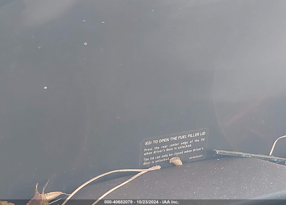 2019 KIA SPORTAGE EX VIN: KNDPN3AC1K7577771