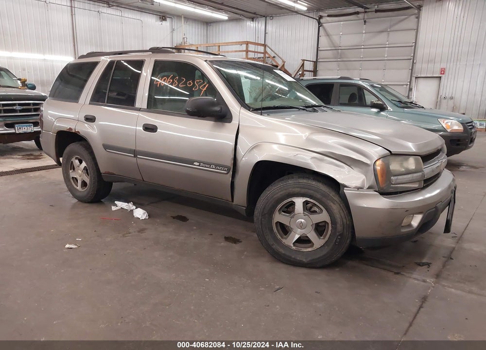 2002 CHEVROLET TRAILBLAZER LT VIN: 1GNDT13S022204789