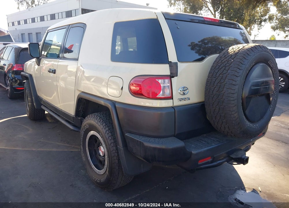 2010 TOYOTA FJ CRUISER VIN: JTEBU4BF7AK074913