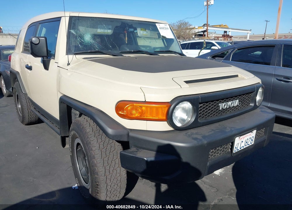 2010 TOYOTA FJ CRUISER VIN: JTEBU4BF7AK074913