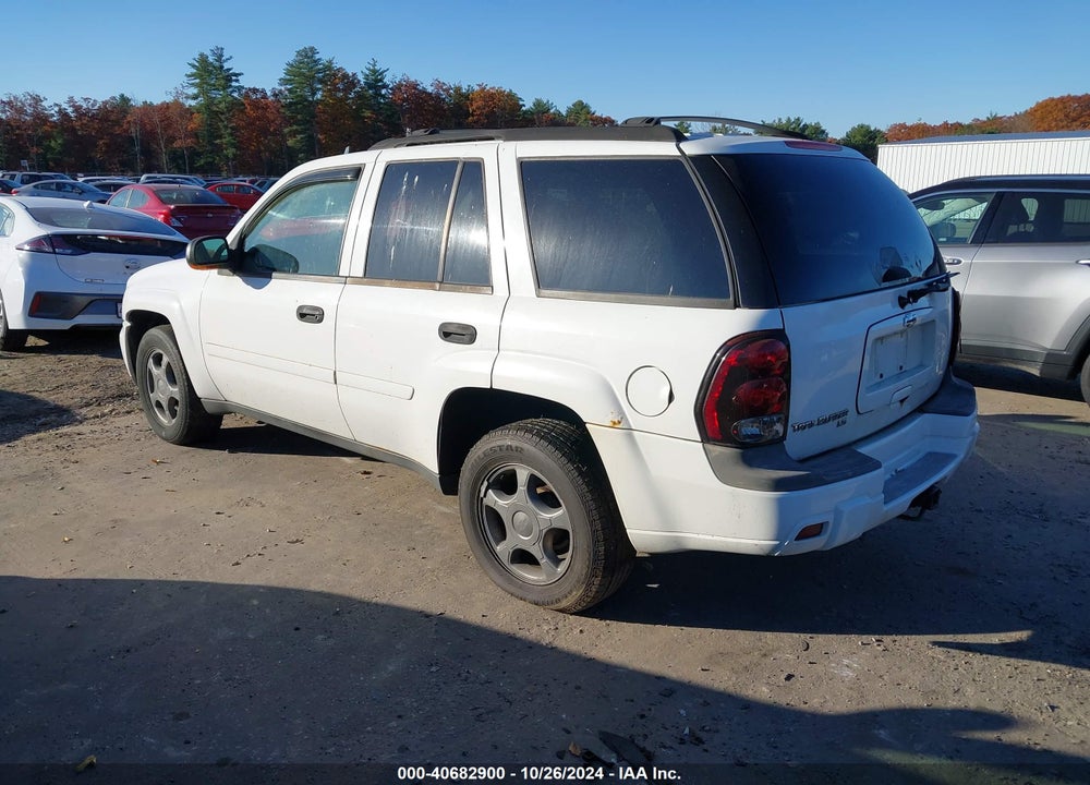 2006 CHEVROLET TRAILBLAZER LS VIN: 1GNDT13S262331288