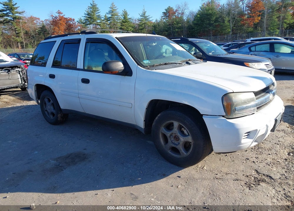 2006 CHEVROLET TRAILBLAZER LS VIN: 1GNDT13S262331288