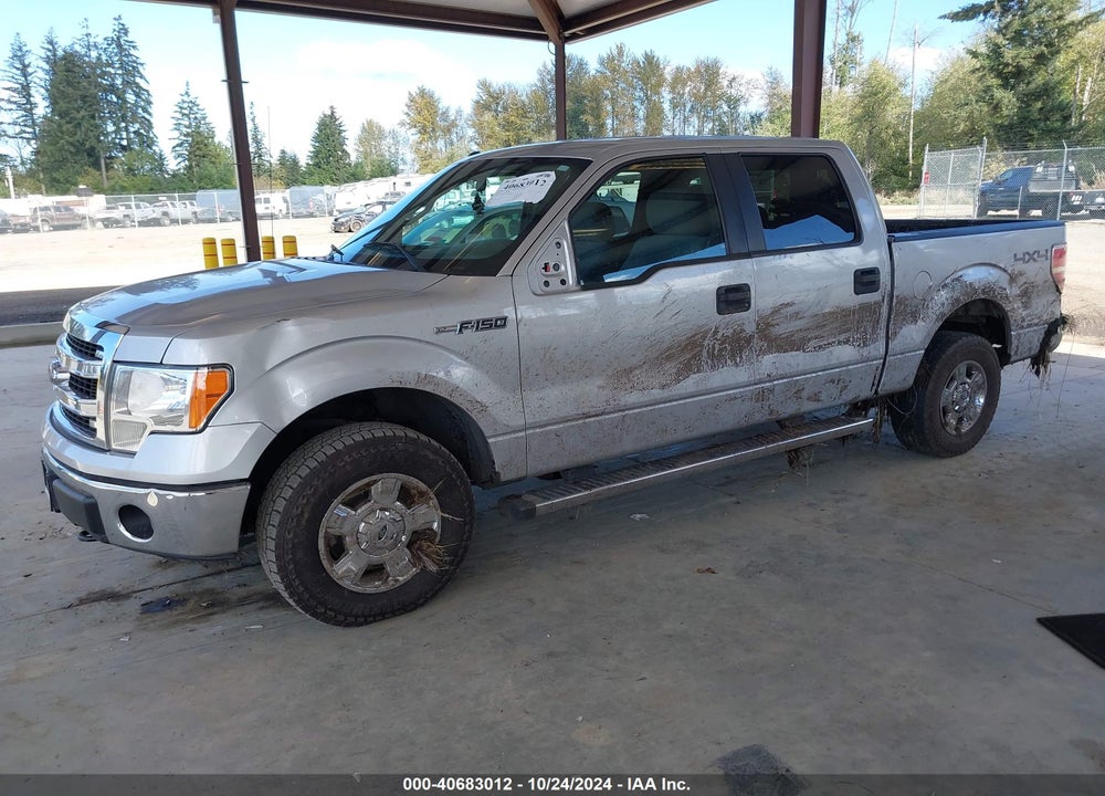 2014 FORD F-150 XLT VIN: 1FTFW1EF5EKF84368