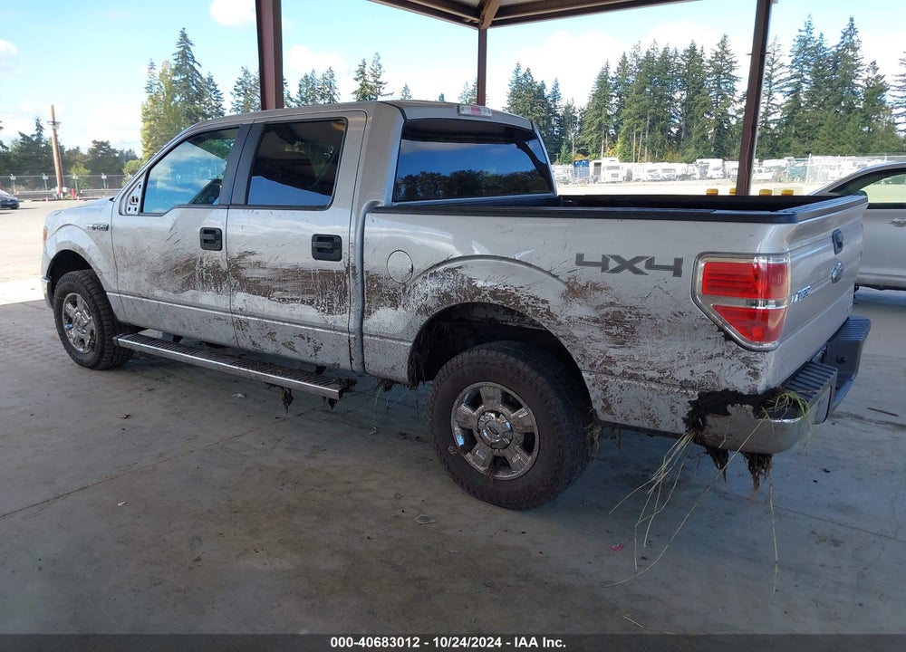 2014 FORD F-150 XLT VIN: 1FTFW1EF5EKF84368