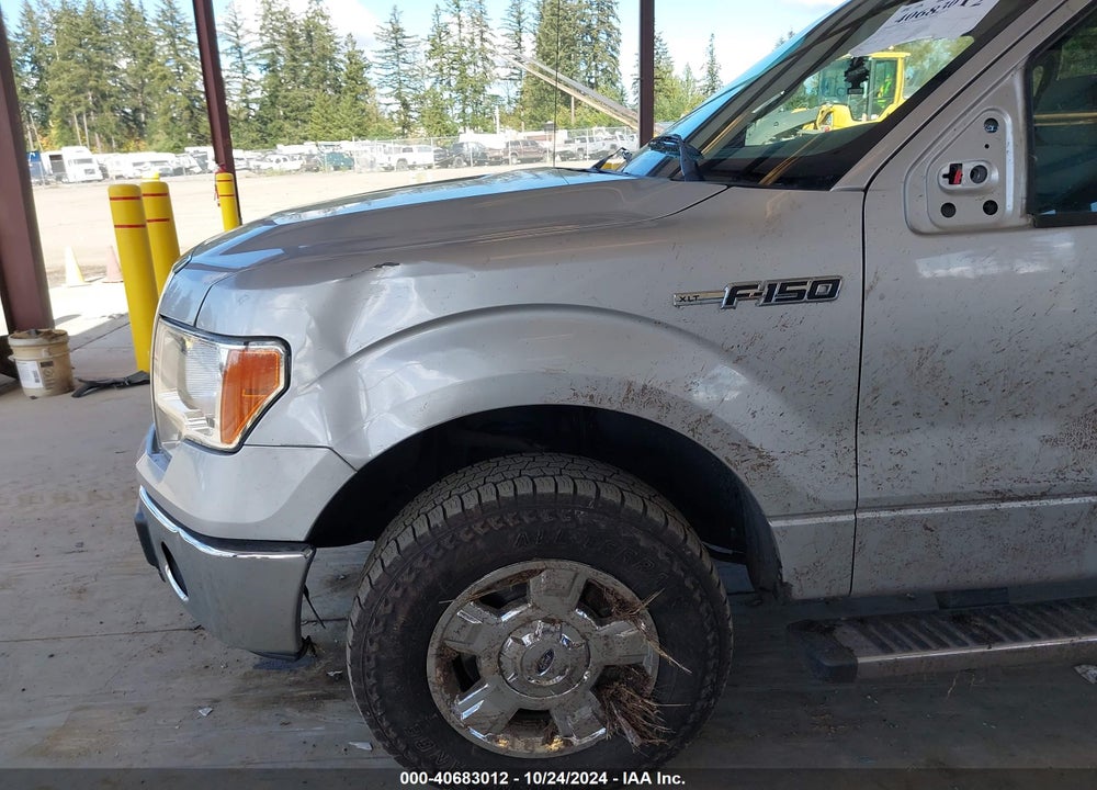 2014 FORD F-150 XLT VIN: 1FTFW1EF5EKF84368