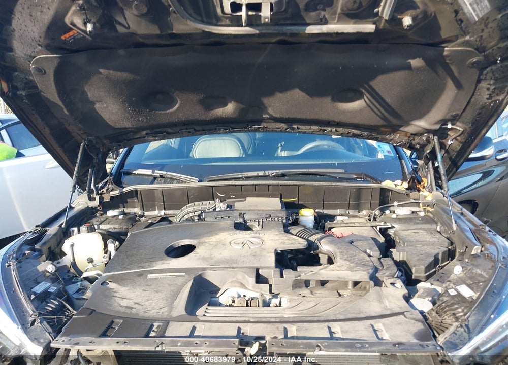 2021 INFINITI QX50 LUXE VIN: 3PCAJ5BA2MF127246