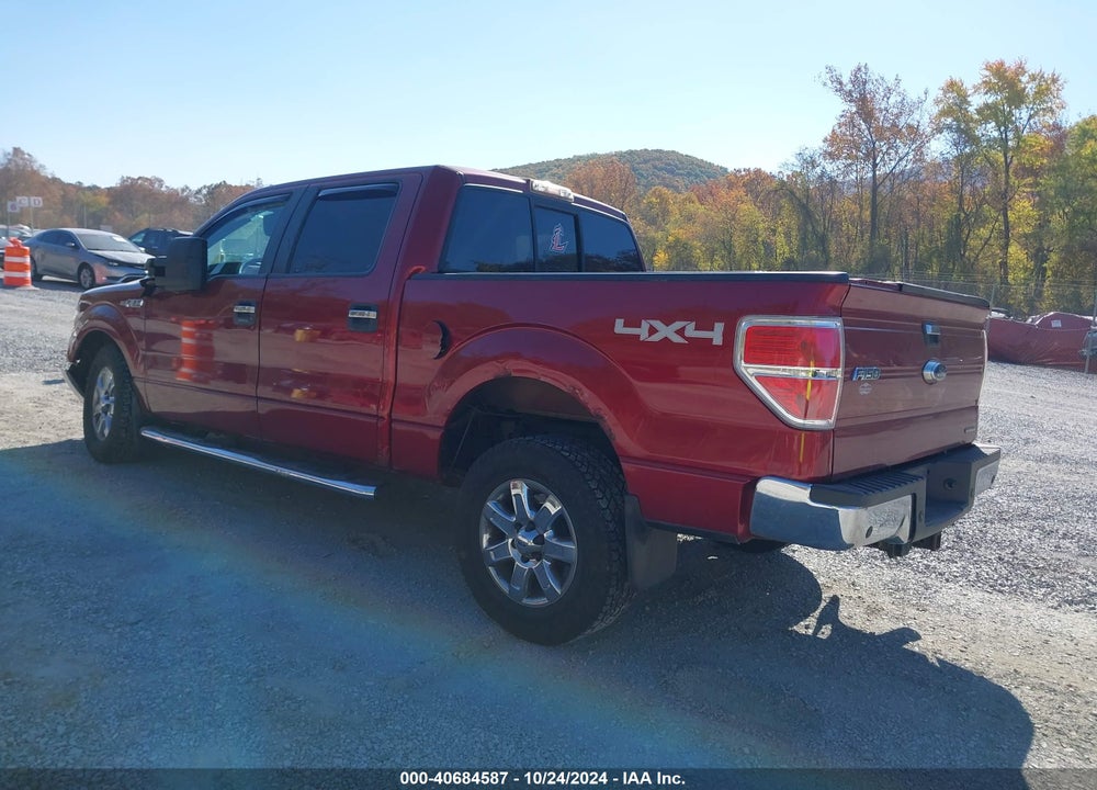 2013 FORD F-150 XLT VIN: 1FTFW1EF2DKD51787