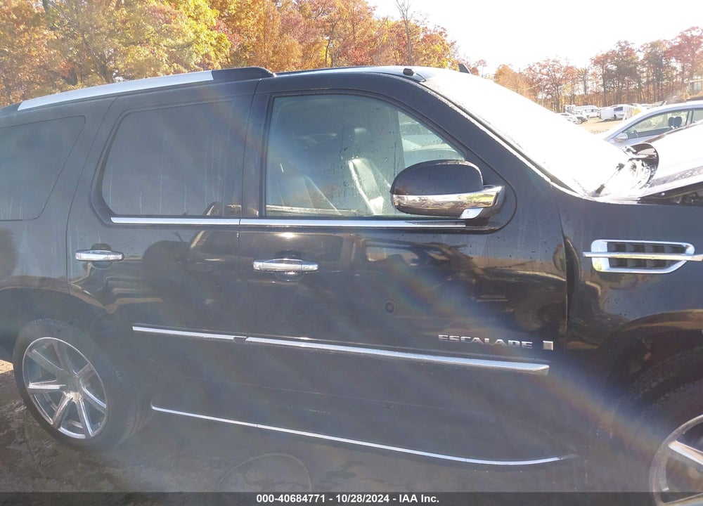 2007 CADILLAC ESCALADE STANDARD VIN: 1GYFK63817R318637