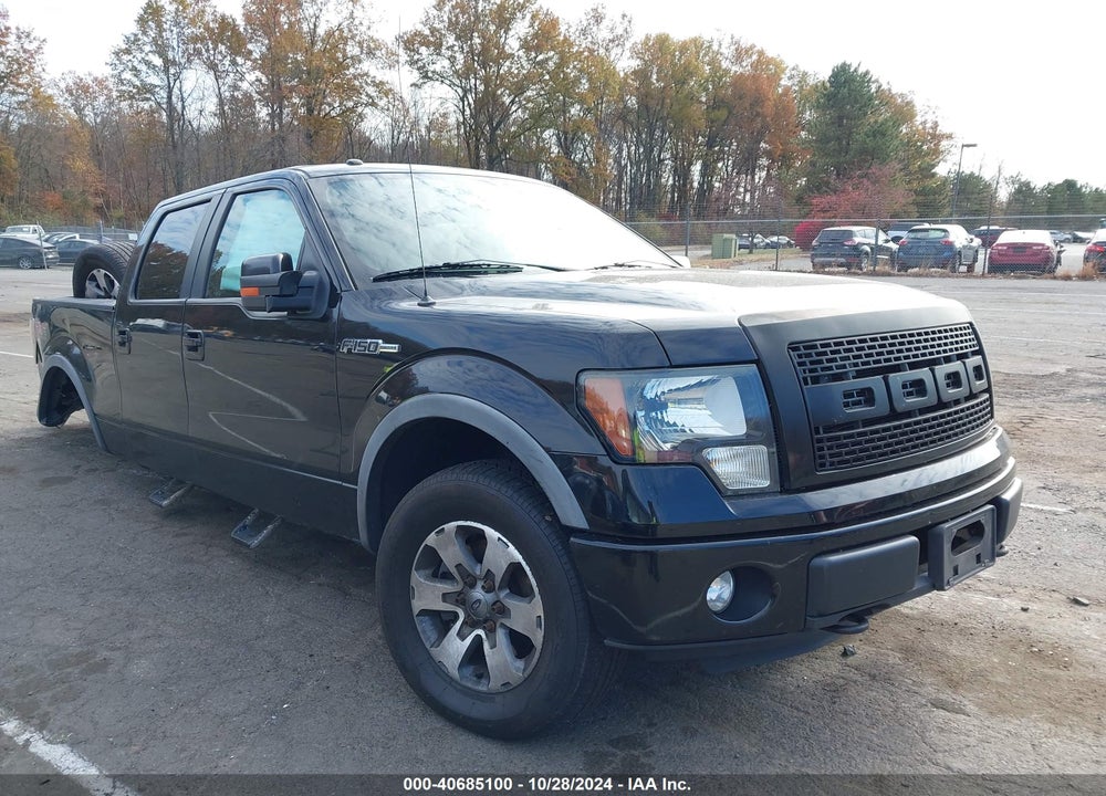 2011 FORD F-150 FX4 VIN: 1FTFW1EF0BFA09485