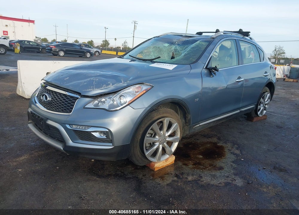 2016 INFINITI QX50 VIN: JN1BJ0RPXGM233282
