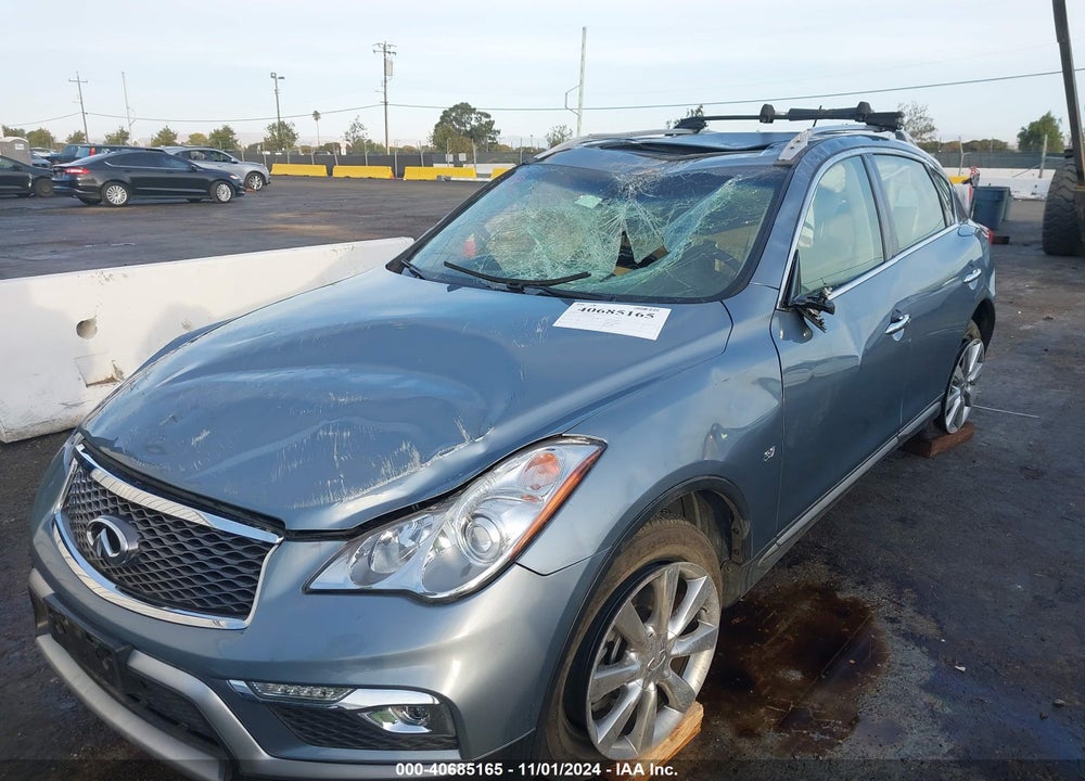 2016 INFINITI QX50 VIN: JN1BJ0RPXGM233282