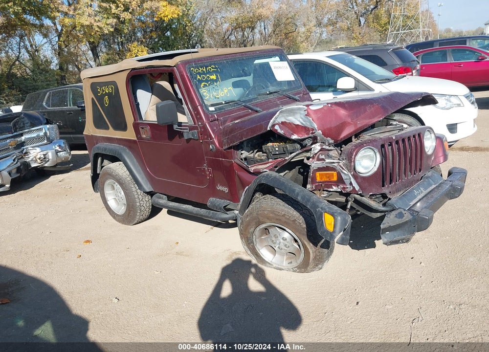 2001 JEEP WRANGLER SPORT VIN: 1J4FA49S51P315687