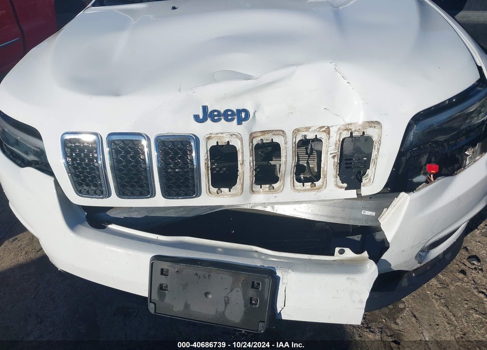 2019 JEEP CHEROKEE LATITUDE FWD VIN: 1C4PJLCB1KD365955