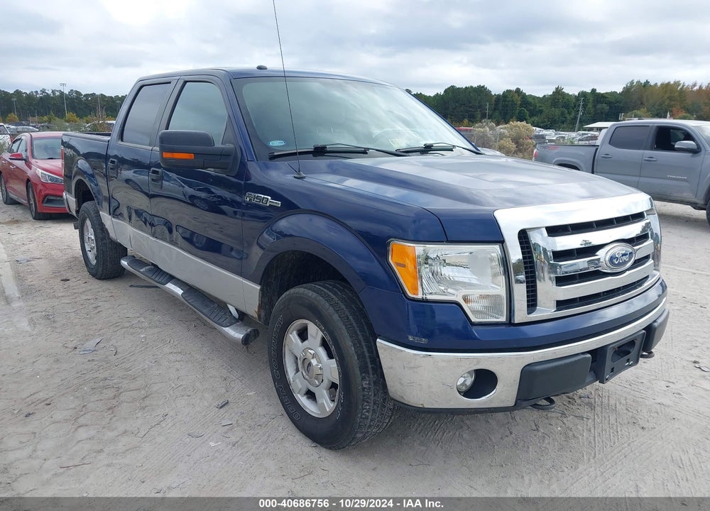2011 FORD F-150 XLT VIN: 1FTFW1EF3BKD17709