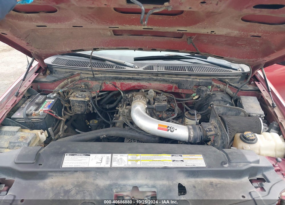 1999 FORD F-150 LARIAT/WORK SERIES/XL/XLT VIN: 1FTRX17W5XKA74998