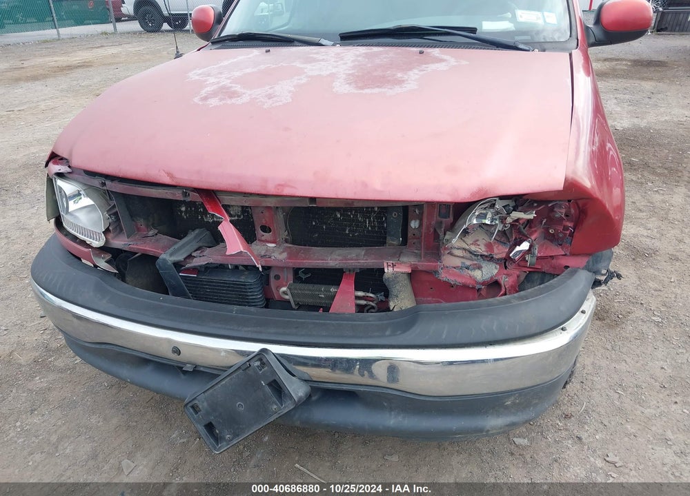 1999 FORD F-150 LARIAT/WORK SERIES/XL/XLT VIN: 1FTRX17W5XKA74998