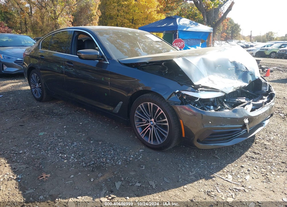 2019 BMW 530I XDRIVE VIN: WBAJA7C52KWW18306