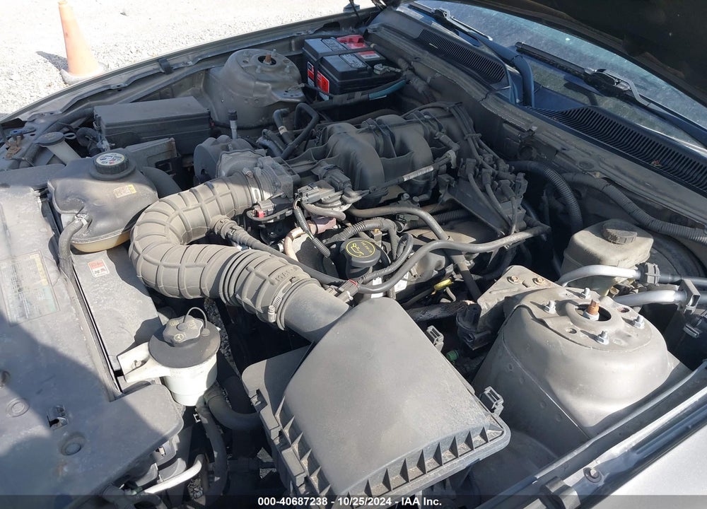 2005 FORD MUSTANG V6 DELUXE/V6 PREMIUM VIN: 1ZVFT80N855139912