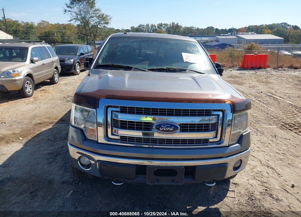 2013 FORD F-150 XLT VIN: 1FTFX1EFXDFA87336