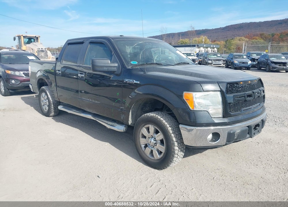 2010 FORD F-150 FX4/HARLEY-DAVIDSON/KING RANCH/LARIAT/PLATINUM/XL/XLT VIN: 1FTFW1EV4AFC06195