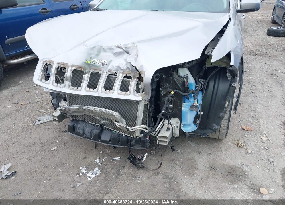 2019 JEEP CHEROKEE LIMITED 4X4 VIN: 1C4PJMDX0KD259254