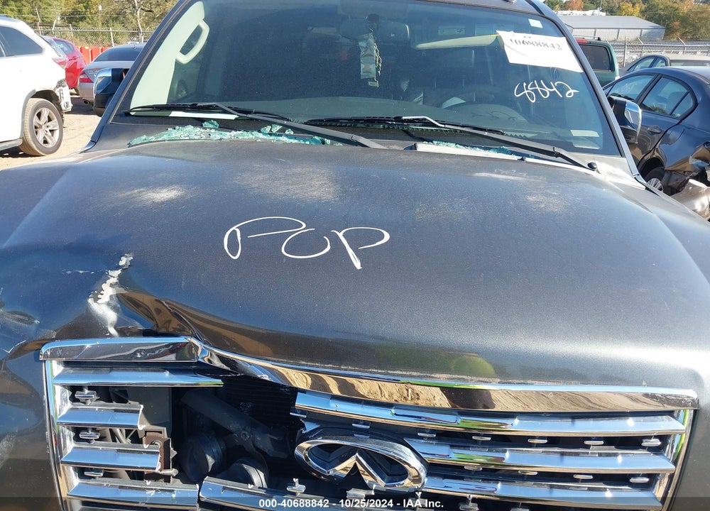 2009 INFINITI QX56 VIN: 5N3AA08C89N903158