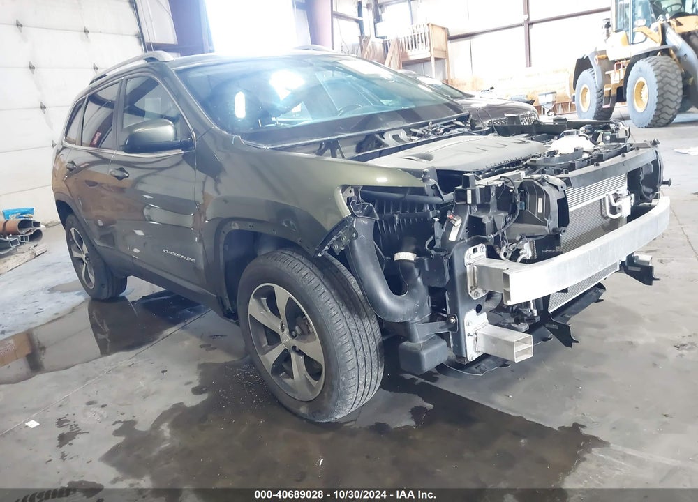 2019 JEEP CHEROKEE LIMITED 4X4 VIN: 1C4PJMDX3KD198501