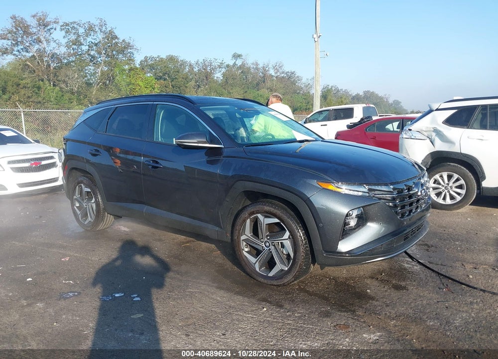 2024 HYUNDAI TUCSON LIMITED VIN: 5NMJECDE5RH356213