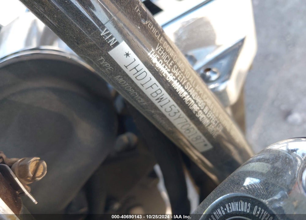 2003 HARLEY-DAVIDSON FLHRI VIN: 1HD1FBW153Y706187