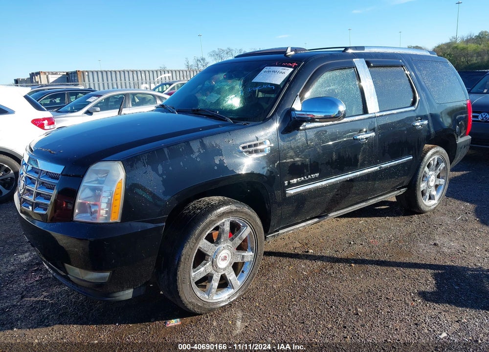 2007 CADILLAC ESCALADE STANDARD VIN: 1GYFK63897R430568