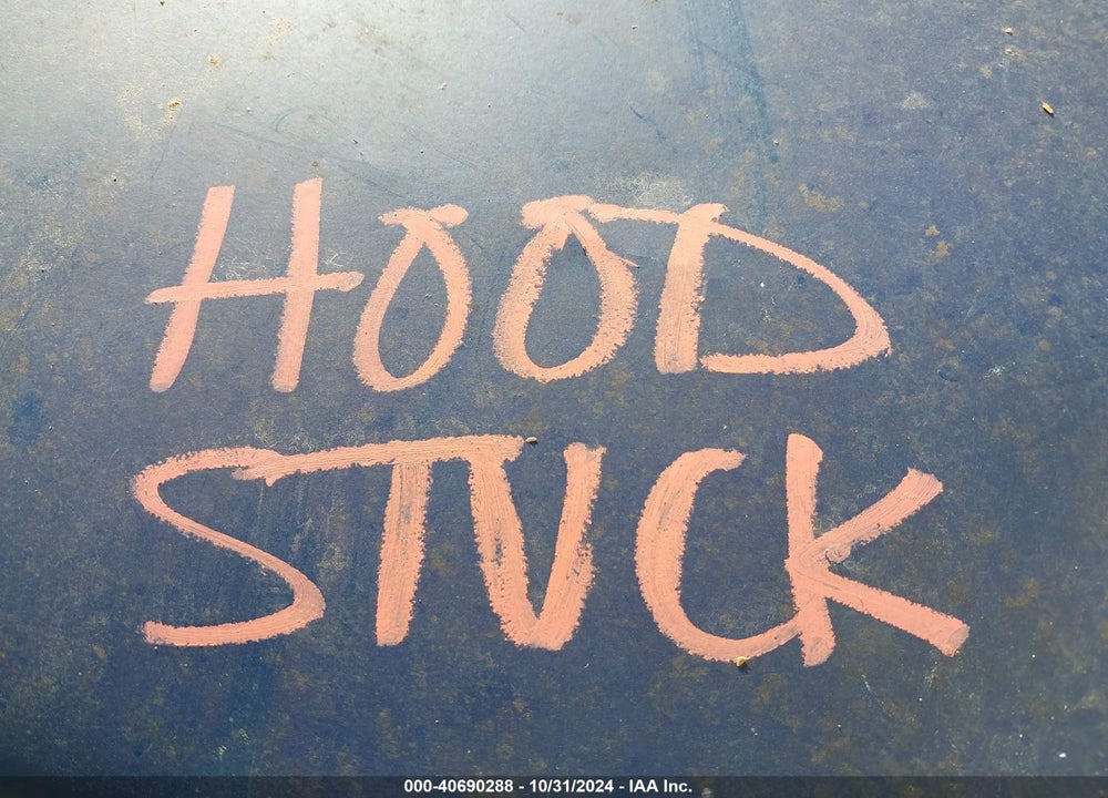1989 FORD BRONCO U100 VIN: 1FMEU15H3KLA22716
