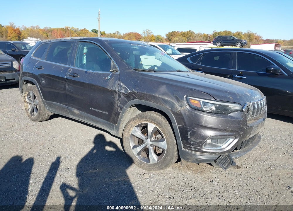 2020 JEEP CHEROKEE LIMITED 4X4 VIN: 1C4PJMDX2LD566555