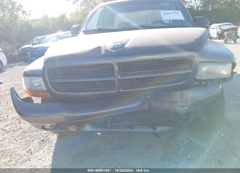 2003 DODGE DAKOTA SLT VIN: 1D7HL48N43S339750
