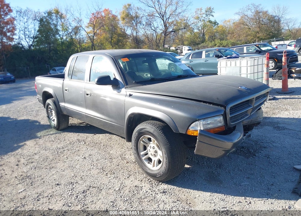 2003 DODGE DAKOTA SLT VIN: 1D7HL48N43S339750