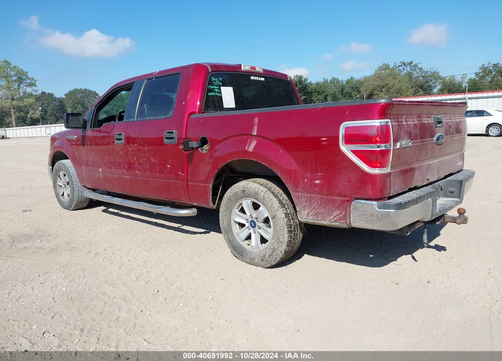 2014 FORD F-150 XLT VIN: 1FTEW1CM7EFA85142