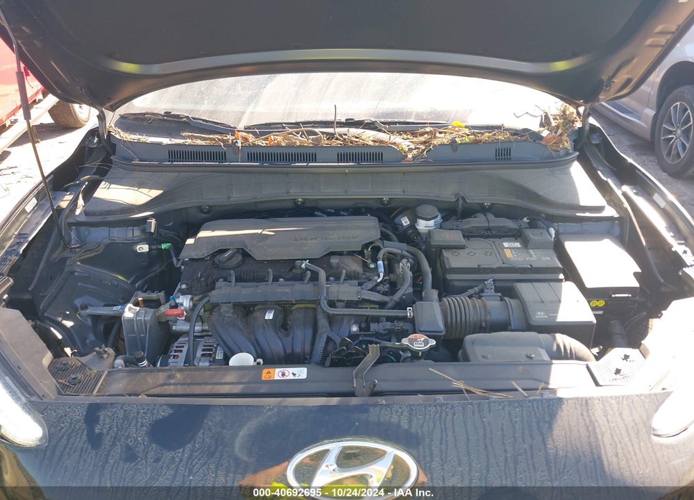 2023 HYUNDAI KONA SEL VIN: KM8K62AB8PU049559