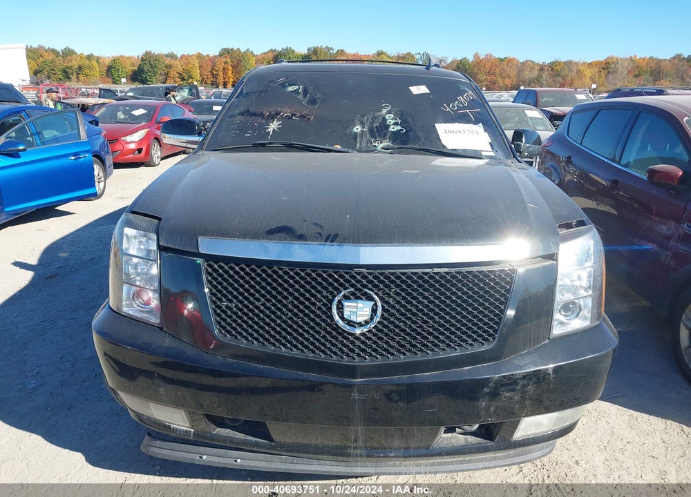 2007 CADILLAC ESCALADE STANDARD VIN: 1GYFK63887R245198