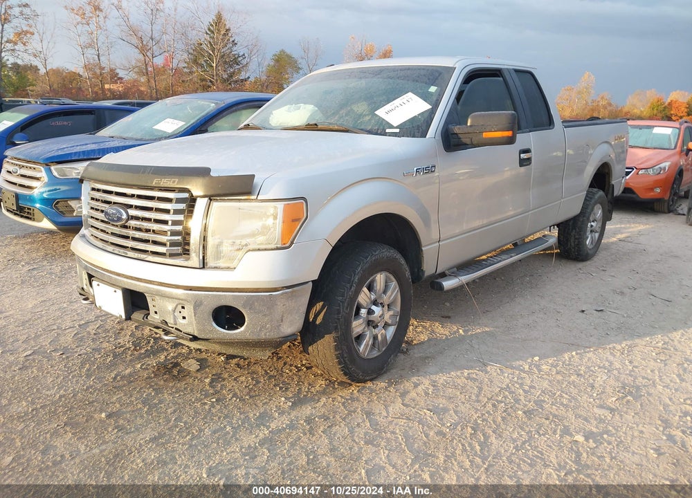 2011 FORD F-150 XLT VIN: 1FTFX1EF3BFB82267