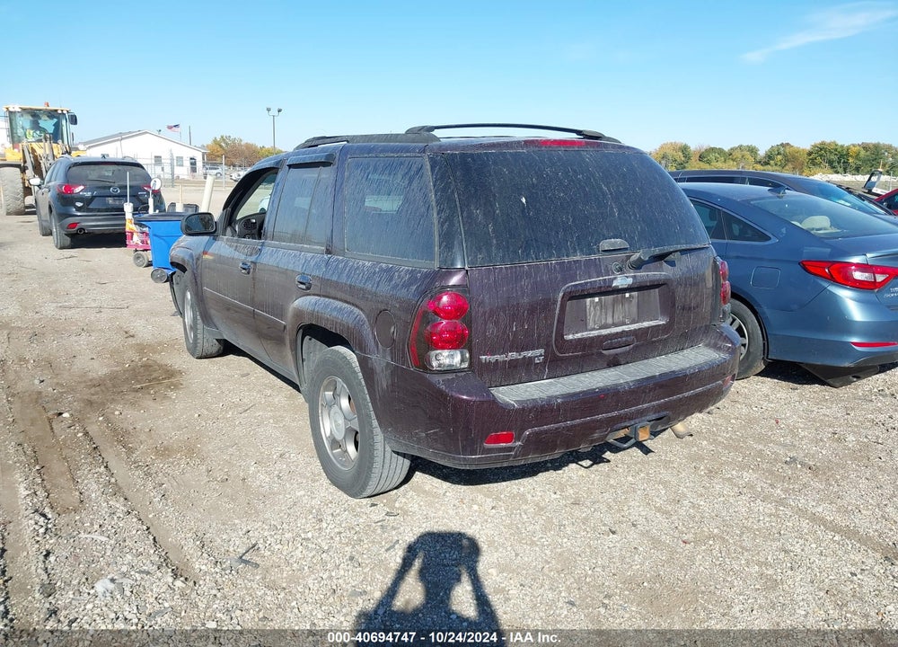 2009 CHEVROLET TRAILBLAZER LT VIN: 1GNDT33S992113249