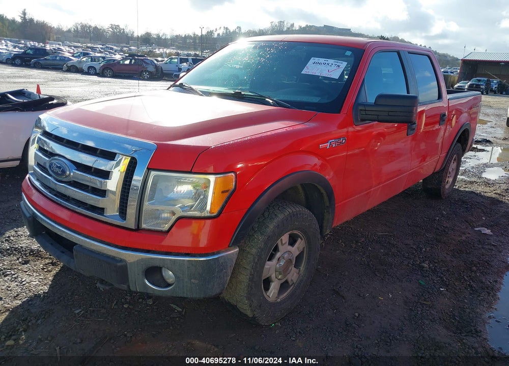 2011 FORD F-150 XLT VIN: 1FTFW1EF9BKD35230